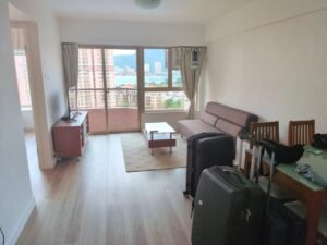 The flat & its surroundings